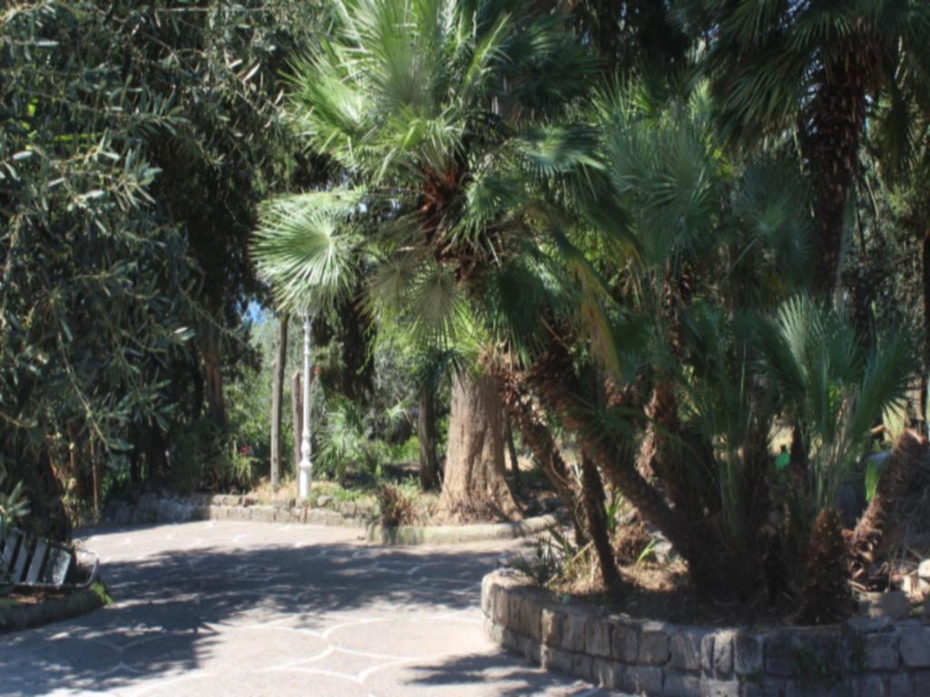 Faraglioni Di Sorrento Guesthouse Pokoj fotografie