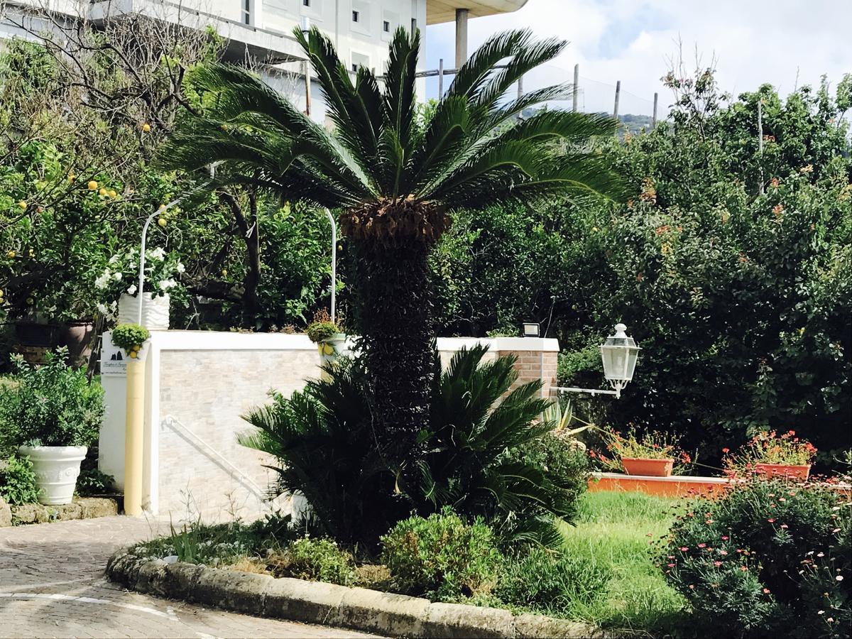 Faraglioni Di Sorrento Guesthouse Exteriér fotografie